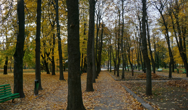DSC08807