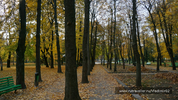 photo 993651