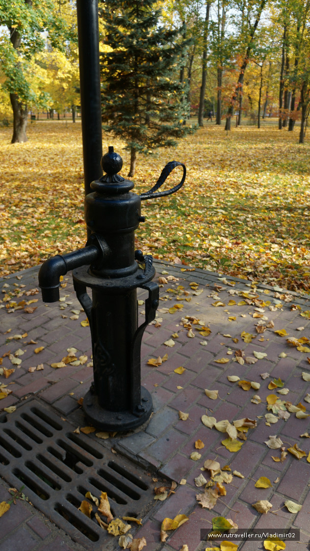 photo 993650