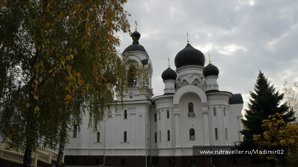 photo 1001765