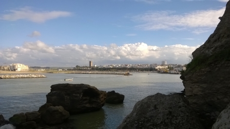 photo 1005833