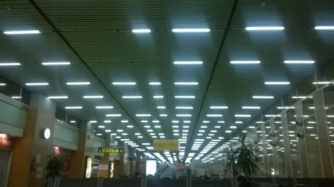 photo 1005837