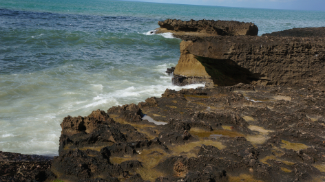 photo 1152423