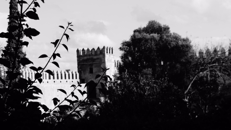 photo 1576276