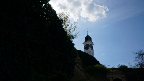 photo 1581059