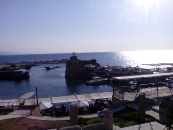 photo 1444582