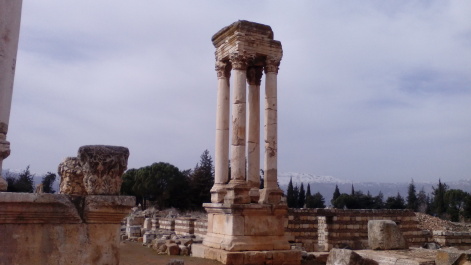 photo 1445087