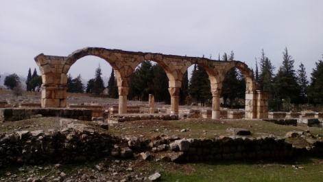 photo 1445088