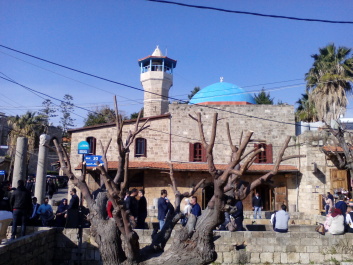 photo 1445173
