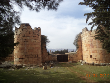 photo 1447437