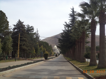 photo 1447438