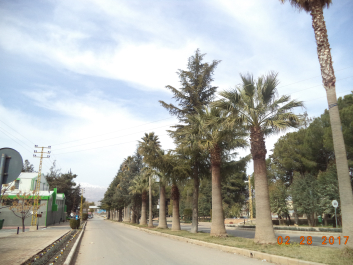 photo 1447439