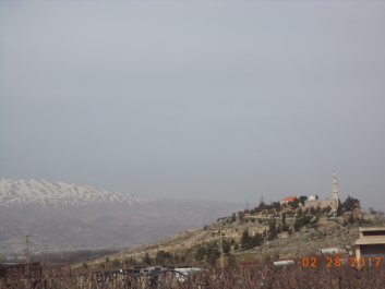 photo 1447442