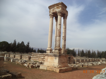 photo 1447443