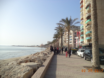 photo 1447487