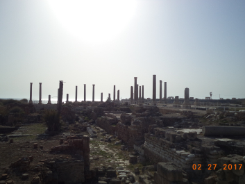photo 1447489