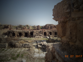photo 1447490