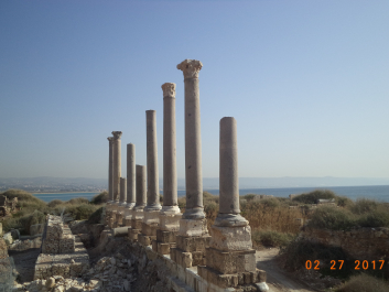 photo 1447492