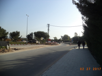 photo 1447494
