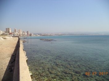 photo 1447495
