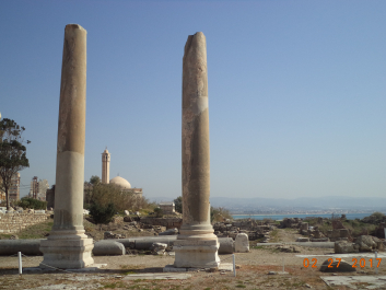 photo 1447496