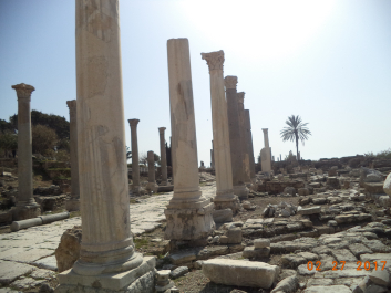 photo 1447497