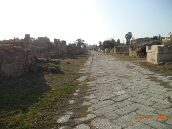 photo 1447498