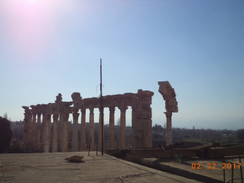 photo 1447720