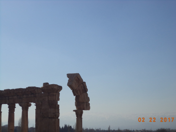 photo 1447721