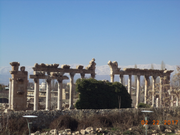 photo 1447722