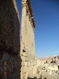 photo 1448436