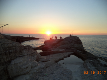 photo 1449834