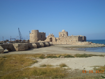 photo 1449839