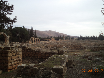photo 1452709