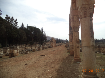 photo 1452715