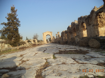 photo 1459144