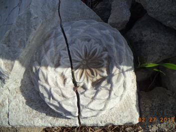 photo 1459154
