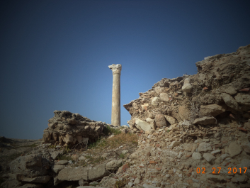 photo 1459156