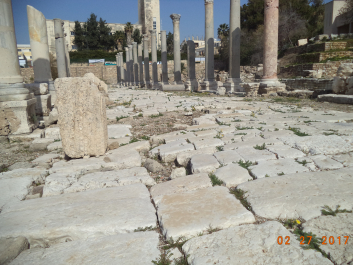 photo 1459160