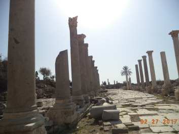 photo 1459162
