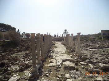 photo 1459476