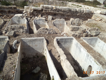photo 1459477