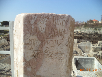 photo 1459478