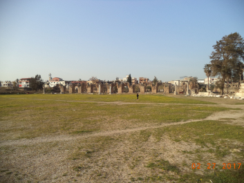 photo 1459482