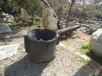 photo 1459484