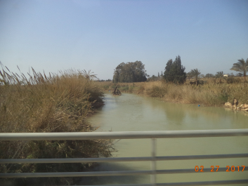 photo 1459485