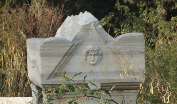 DSC02733
