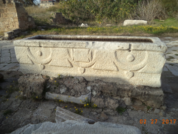 photo 1459493