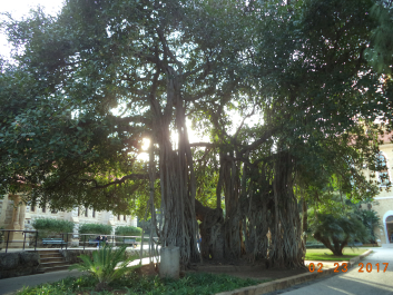 photo 1459590