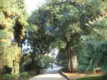 photo 1459593